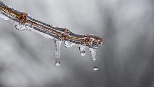 Large-Mitigation-Photo-300x169