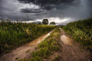 field-thunderstorm-rainy-meadow-2-300x200